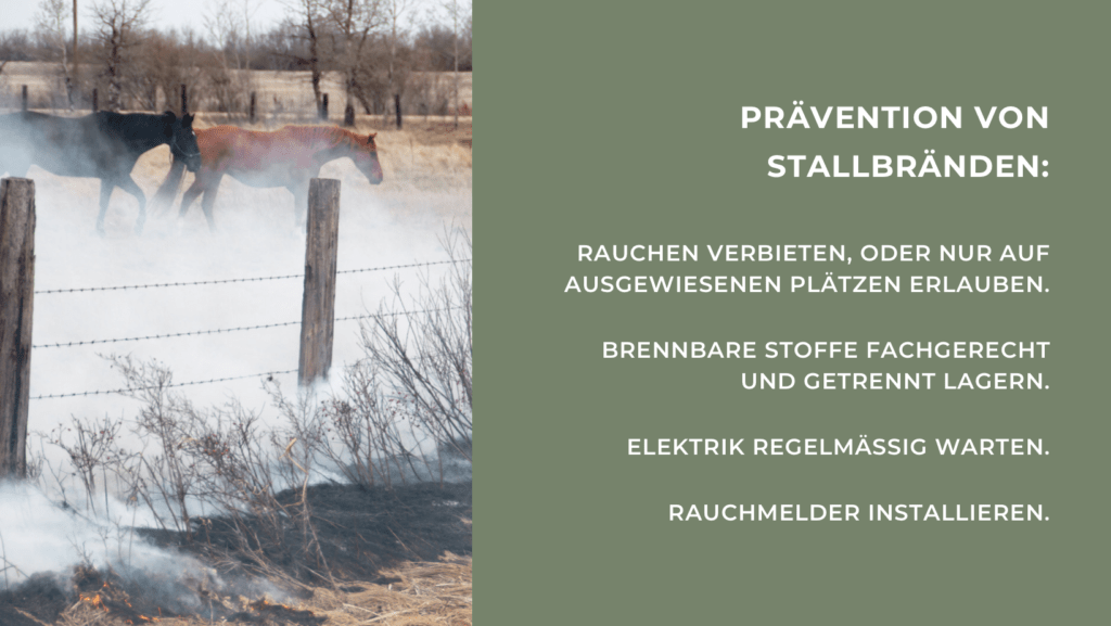 Grafik_Prävention: Brand im Reitstall