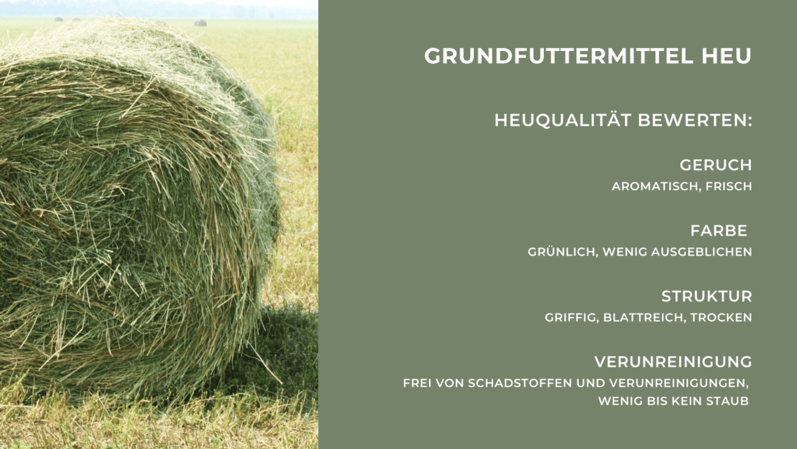 Grundfuttermittel Heu - die 4 Zeichen für gute Qualität - StallGedanken